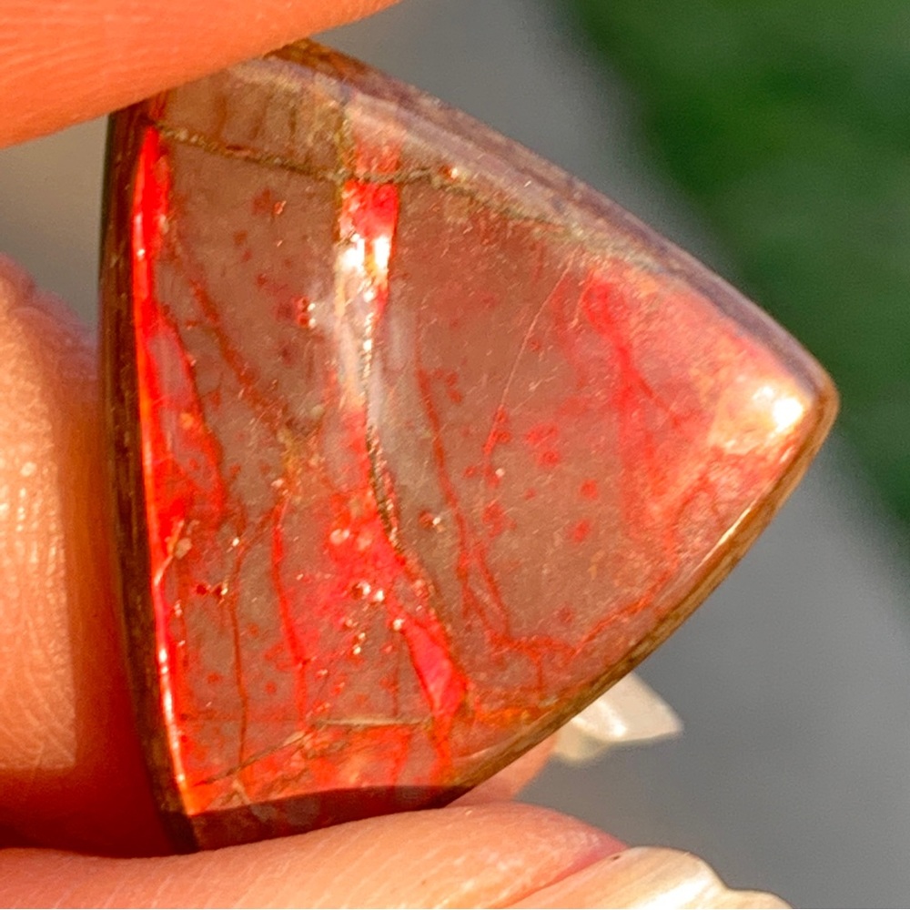 19.04cts Natural Canadian Ammolite Stone - Picture 12 of 17
